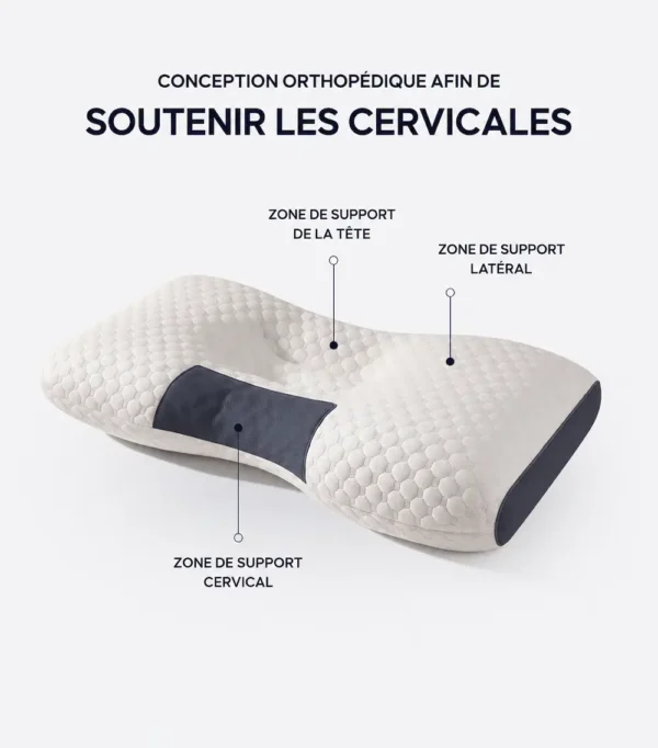 Conception orthopédique de l'oreiller cervical 3 zones