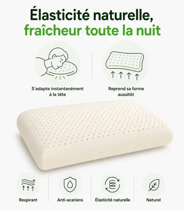 Oreiller latex classique en latex naturel - texture douce et élastique