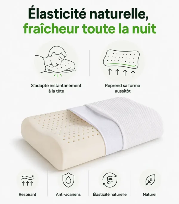 Oreiller latex naturel - élasticité naturelle et fraîcheur toute la nuit
